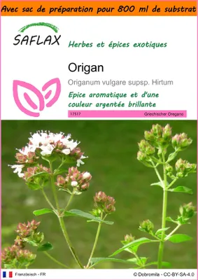 Image de SAFLAX Garden in the bag - Origan - 600 graines - Origanum