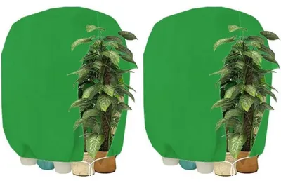 Productafbeelding van Winterbescherming voor planten, 120x180 cm, groen, 2 stuks