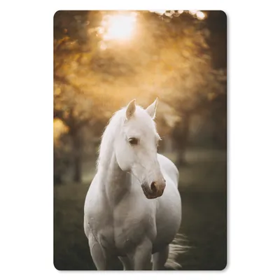 Produktbild von MuchoWow® Mauspad Mousepad Pferd - Sonne - Herbst - Tiere - Natur 18x27 cm - Mousepads - Maus Mat - Pad - Mausunterlage