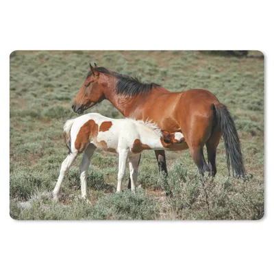 Produktbild von MuchoWow® Mauspad Mousepad Pferde - Fohlen - Blumen 27x18 cm - Mousepads - Maus Mat - Pad - Mausunterlage - Büroartikel - Desk Matten