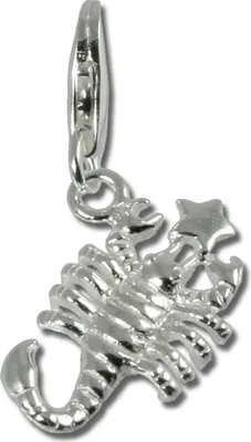 Produktbild von SilberDream Charm Anhänger Skorpion Sternzeichen 925 Echt Silber FC7111