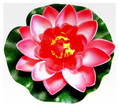 Produktbild von 1 Stück Rosa Künstliche Blume, schwimmend, lebensechte Seerose, Gartendekoration, Mikro für Teichlandschaft, 10 cm, Teiche und Zubehör, Teichpflanzen, Garten
