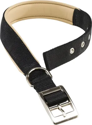 Produktbild von Ferplast Daytona C, Hund, Standardkragen, Schwarz, Nylon, Einfarbig, 25 mm