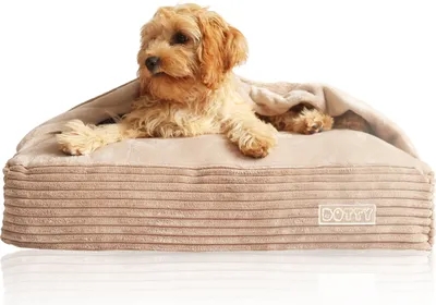 A small, fluffy dog is resting comfortably in a plush, beige dog bed with corduroy texture.