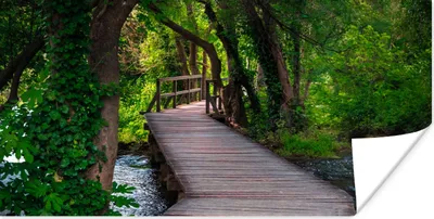 Produktbild von MuchoWow® Poster Wald - Natur - Brücke 40x20 cm - Poster für die Wand - Poster Schlafzimmer