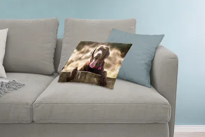 Produktbild von MuchoWow® Zierkissen Sofakissen Wohnzimmer Dekokissen 60x40 cm Labrador Retriever schaut über einen Zaun - Kopfkissen - Polster mit Foto