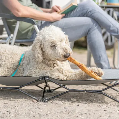 Produktbild von Trixie Kaninchenhautrolle mit Fell 85 g