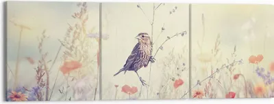 Produktbild von Bild auf Leinwand - Leinwandbild - 3 Teile - Vogel Wildschwein Wiese - 150x50cm - Wand Bild - Wanddeko - Wandbilder - Leinwanddruck - Bilder - Wanddekoration - Leinwand bilder - CA150x50-4279