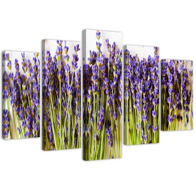 Produktbild von 5-teiliges leinwandbild lavendel 150x100 cm Feeby lila wandbild bereit zum aufhängen