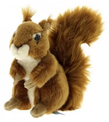 Produktbild von Anima Plüschtier Eichhörnchen Plüsch 20 cm