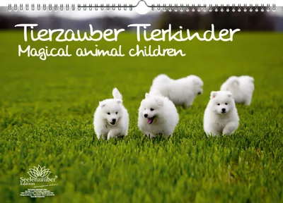 Produktbild von Tierkinderzauber DIN A3 Kalender - Immerwährender Kalender Tierbabys und Tierkinder - Seelenzauber