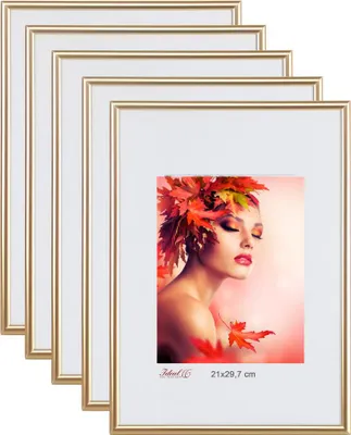 Produktbild von 2er 3er 5er Pack Bilderrahmen Kunststoff Lifestyle Foto Rahmen Collage KYOTO - Farbe: 5er Pack Gold | Format: 21x29.7