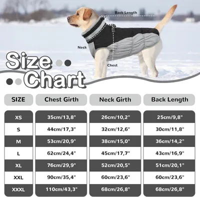 Wasserdichte Hundejacke für kleine Hunde - Warm, reflektierend und mit Geschirr