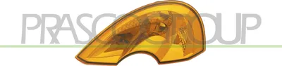 Produktbild von PRASCO RN3084103 Blinker Blinkleuchte Außenspiegel Rechts vorne Rechts für RENAULT MODUS / GRAND MODUS (F/JP0)
