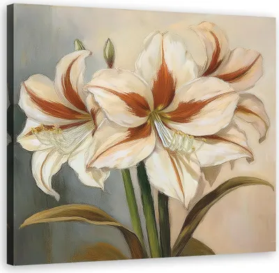 Immagine prodotto di Quadro su tela, Fiore di giglio naturale - 60x60
