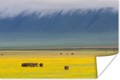 Produktbild von MuchoWow® Poster Elefantengruppe zusammen im Ngorongoro-Krater 90x60 cm - Schlafzimmer