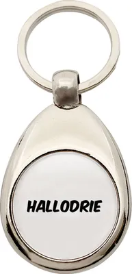 Produktbild von Huuraa Schlüsselanhänger Hallodrie Schriftzug Metall Schlüsselring Einkaufswagenchip Geschenkidee