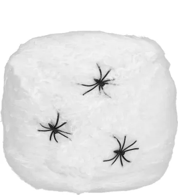 Image de Toile d'araignée avec araignée blanche-noire 3.7qm 20g - taille unique