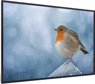 Produktbild von MuchoWow® MuchoWow® Gerahmtes Poster Rotkehlchen - Winter - Blau 60x40 cm - Poster mit zchwarzem Bilderrahmen - Printing - Wanddeko Schlafzimmer