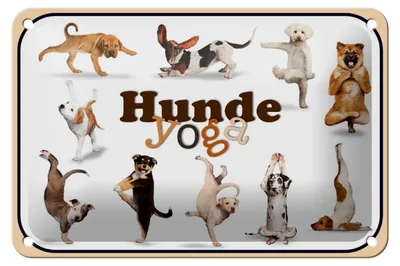Produktbild von Blechschild Hund 18x12cm Hunde Yoga Wanddeko