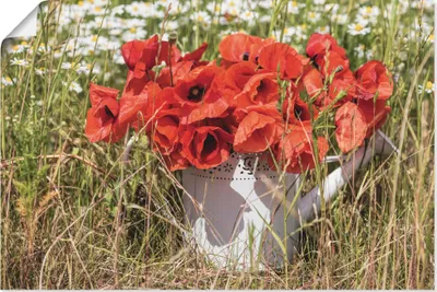 Produktbild von ARTland Poster Mohnblüten im Feld Größe: 60x40 cm