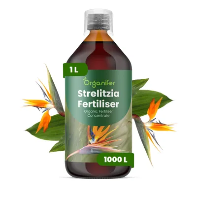 Obrázek produktu pro Strelícia Tekuté Hnojivo 1 L – 2-1-8 NPK – Pro Strelície – Podporuje Bujné Květy & Zdravý Růst – Organifer