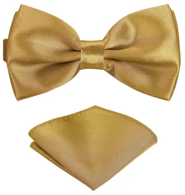 Imagen del producto de Corbata para hombre con pañuelo de bolsillo, color dorado, ideal para ocasiones especiales