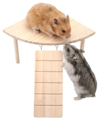 Productafbeelding van Hamsterhuis met Kletterladder van Hout en Verkenningstunnel voor Kleine Huisdieren