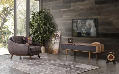 Obrázek produktu pro TV stolek, komoda, obývací pokoj, dřevěný design, nábytek, nízká komoda