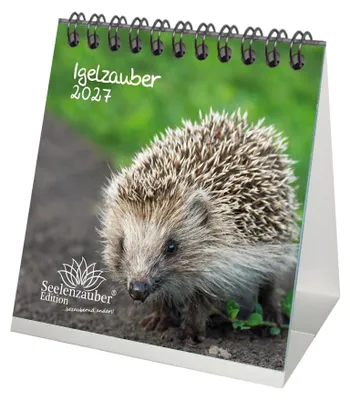 Produktbild von Igelzauber Tischkalender 10x10cm für 2027 Igel - Seelenzauber