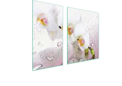 Produktbild von Glasschutzplatte Für Herd 90X52 Orchidee
