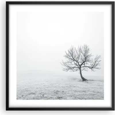 Produktbild von Gerahmtes Poster - Schwarzer Rahmen - Baum Feld Natur - 50x50 cm - Wand Bild - Wanddeko - Wandbilder - Kunstposter - Wandposter - Bilderrahmen - Bilder - Kunstdruck - Wandbild - P2BAC50x50-3683