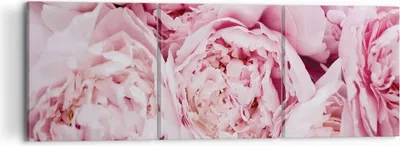 Produktbild von Bild auf Leinwand - Leinwandbild - 3 Teile - Blumenstrauß Blumen Rosa - 120x40cm - Wand Bild - Wanddeko - Wandbilder - Leinwanddruck - Bilder - Wanddekoration - Leinwand bilder - CA120x40-5001