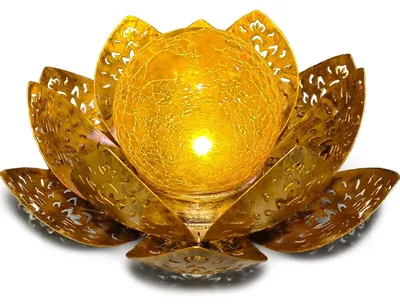 Image de Lampe solaire jardin - Fleur de lotus - 20 x 20 cm - Inox - Ambre