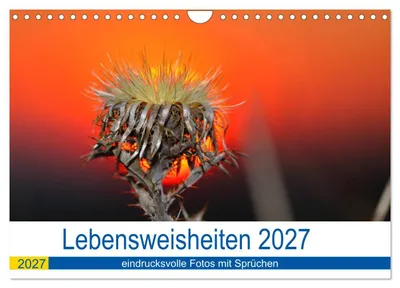 Produktbild von Lebensweisheiten 2027 (Wandkalender 2027 DIN A4 quer), CALVENDO Monatskalender