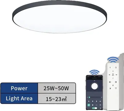 Zdjęcie produktu dla Lampa sufitowa, inteligentne sterowanie, możliwość ściemniania, 1 sztuka-50W