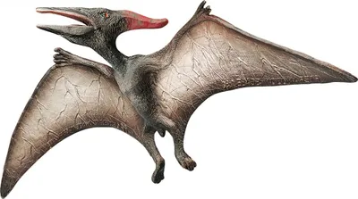 Produktbild von Bullyland 61364 - Pteranodon Museum Line