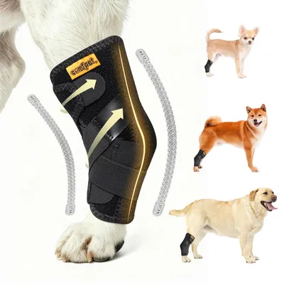 Productafbeelding van Solidchoice - Bescherming voor Hond Achterpoot met Metaalsteunen
