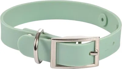 Image de Collier en silicone pour chien Silicoole