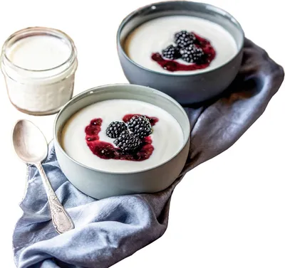 Obrázok produktu pre Rommelsbacher JG 80 jogurtovač 1,2 l tvaroh, jogurt 20 W