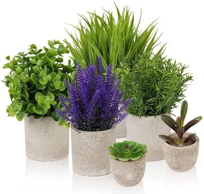 Immagine prodotto di Set di 6 piante artificiali piccole in vaso di plastica, decorazione per camera da letto, bagno e cucina