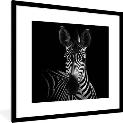 Produktbild von MuchoWow® Gerahmtes Poster Zebra - Schwarz - Weiß - Tiere 40x40 cm - Poster mit Schwarzem Bilderrahmen Wandposter Rahmen Foto Bilder - Poster - Plakat im Rahmen