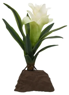 Produktbild von Bromelie klein weiß für Terrarien - Lucky Reptile Dekoration Pflanzen