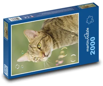 Produktbild von martinpuzzle - Puzzle 2000 Teile - Katze - Mourek