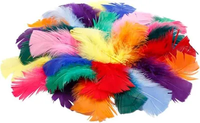 Image de Plumes de différentes couleurs assorties, 500 g