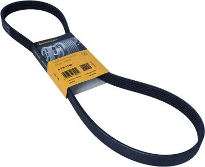 Immagine prodotto di CONTITECH 6PK1165 Cinghia con nervatura a V