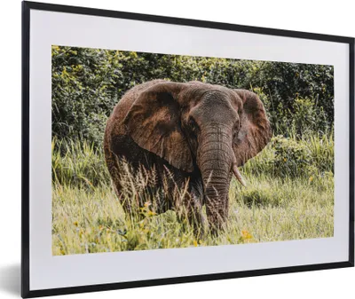 Produktbild von MuchoWow® MuchoWow® Gerahmtes Poster Elefant - Natur - Gras 60x40 cm - Poster mit zchwarzem Bilderrahmen - Schlafzimmer - Plakat in Rahmen - Drucken