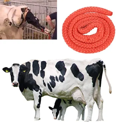 Produktbild von Tiergeburtshelfer - Lieferseil für Vieh - Geburtshelfer für Rinder, Kühe, Pferde - Effizientes und sicheres Abkalben.