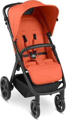 Obrázok produktu pre ABC Design Avus Buggy, dizajn:Carrot