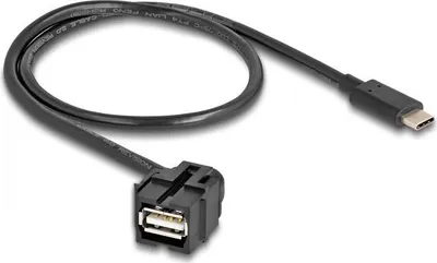 Produktbild von Delock Keystone Modul USB 2.0 A Buchse zu USB Type-C Stecker 250° mit Kabel 0,5 m